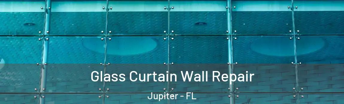 Glass Curtain Wall Repair Jupiter - FL