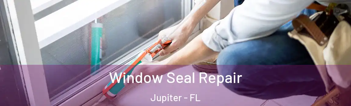  Window Seal Repair Jupiter - FL